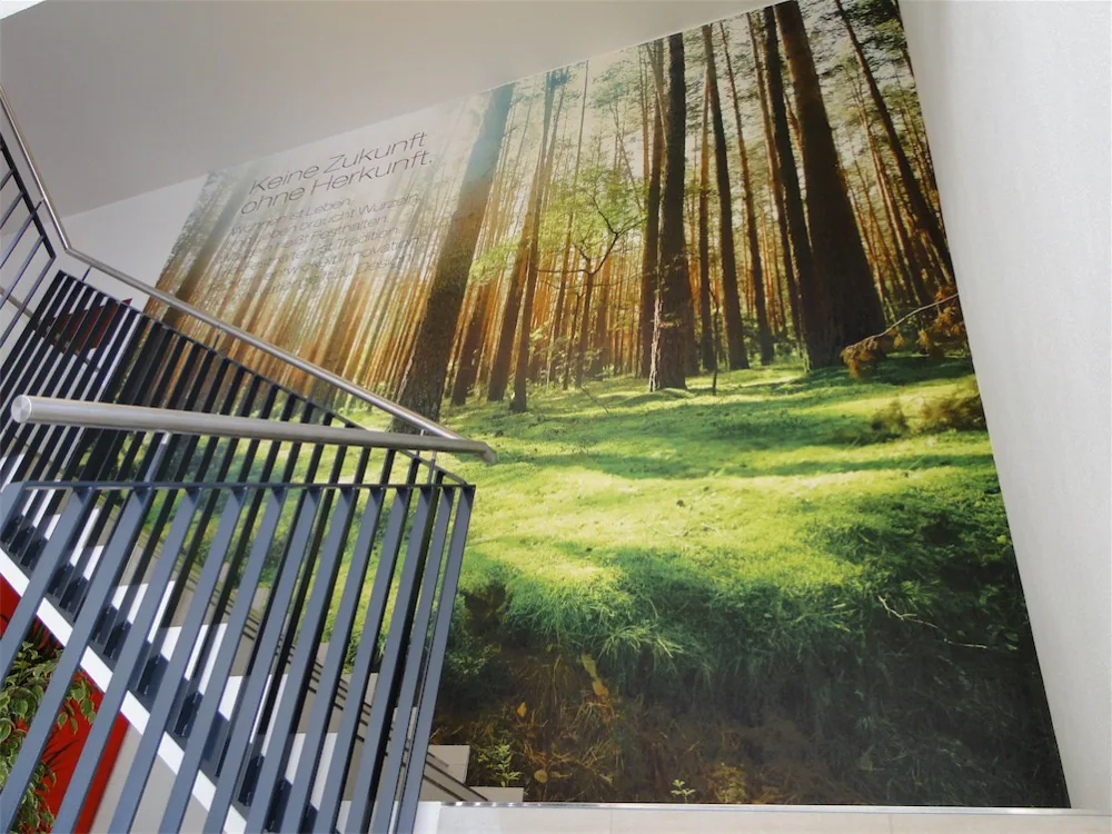 Wandgestaltung im Innenraum aus dem Buxbaum-Projektarchiv
